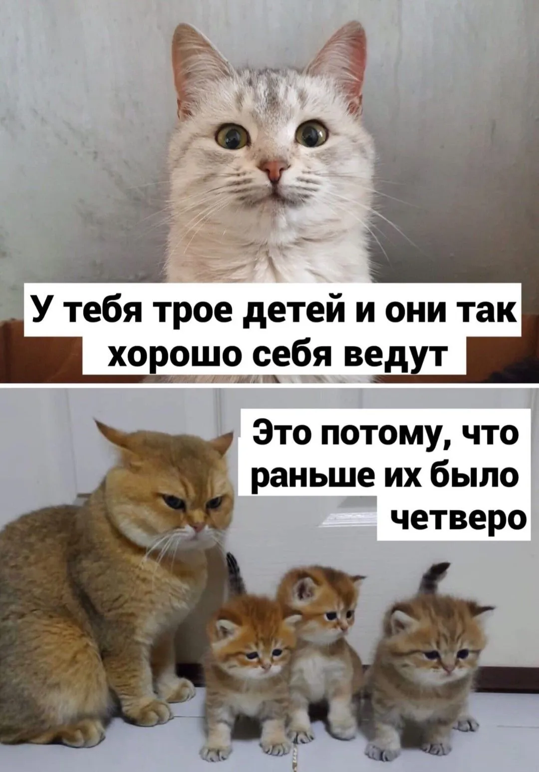 _20201112_232809.webp