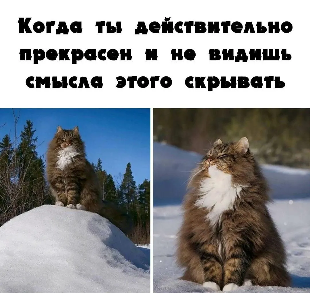 _20210218_135218.webp
