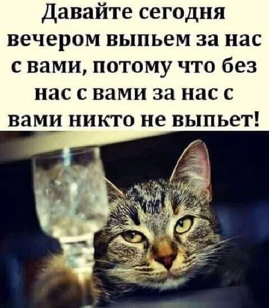 A0k95c_n_TE-world8.spcs.bio.webp