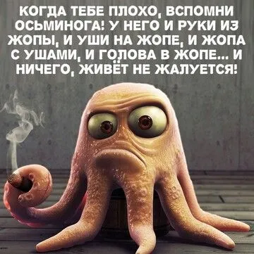 A2f60d90_baa208853f-world11.spcs.bio.webp