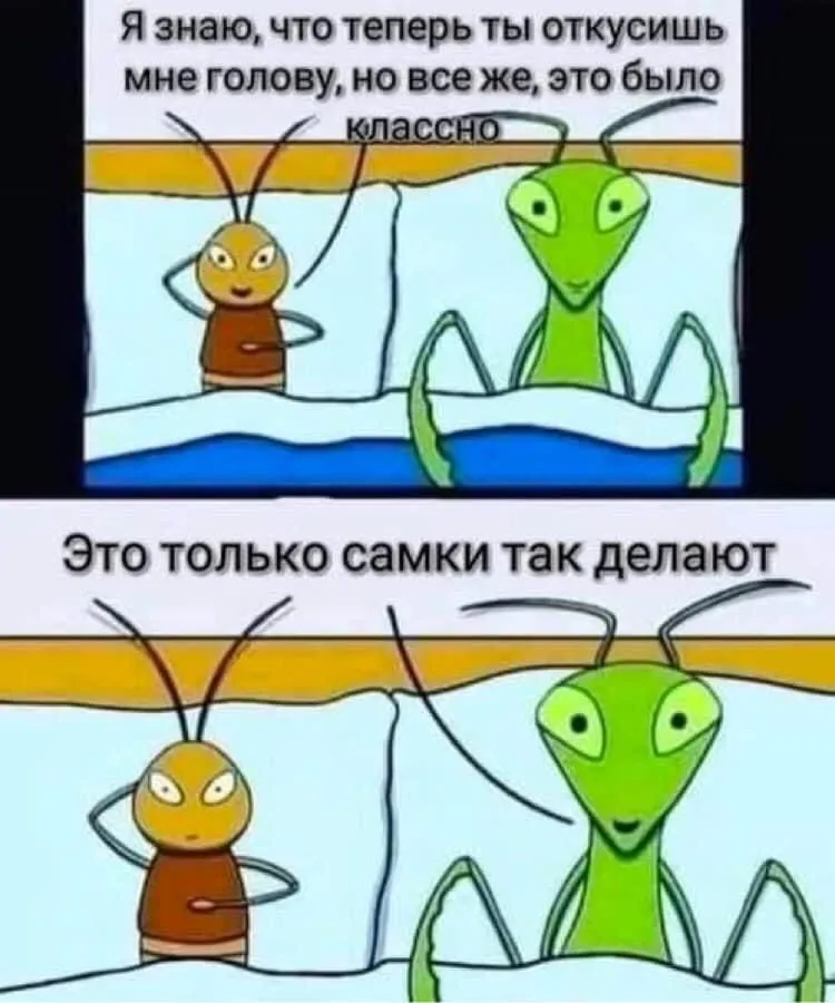 A67CD69B-77AF-4343-8371-5B4674922E89.jpeg