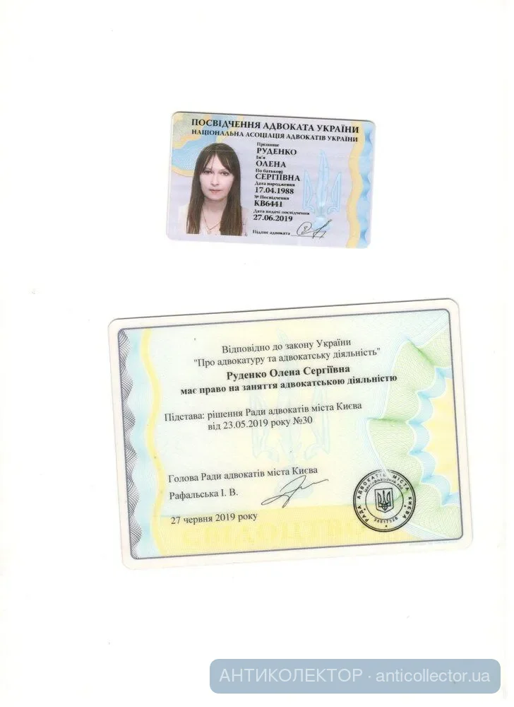 адвокат Елена Руденко 002.jpg