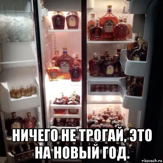 alkashka_100716534_orig_.webp