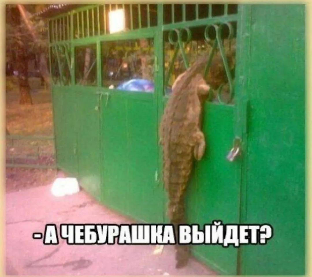 As4PBPdv-world77.spcs.bio.webp