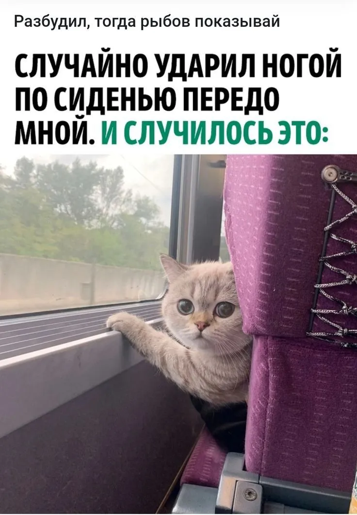 b04e0a67147b75491c3abd2a8ed830e9.webp