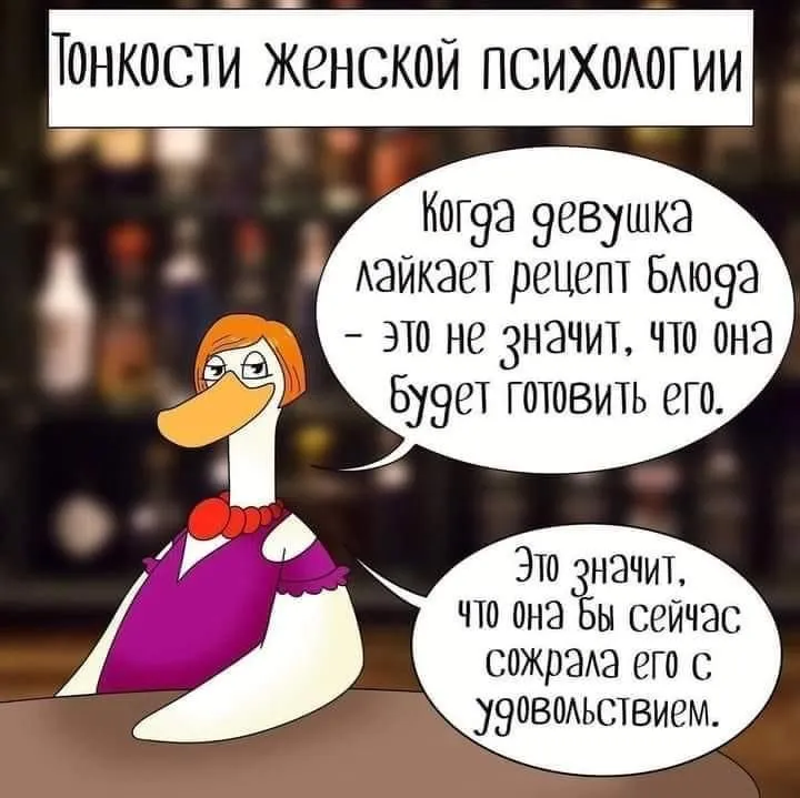 B089A158-4EBA-4F50-9144-6BFE67DC2C72.webp
