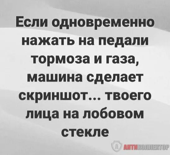 b2e23f449ad9230147429415ac1e3fac.webp