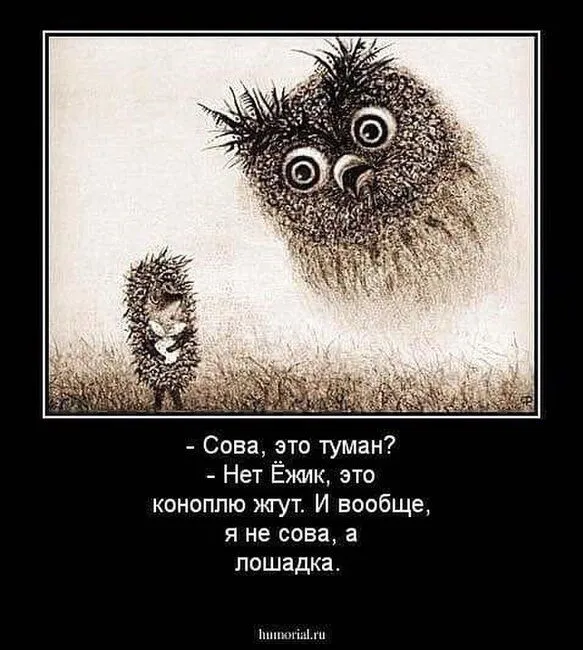 b3efce26741c6577088fa28ac073a86d.webp