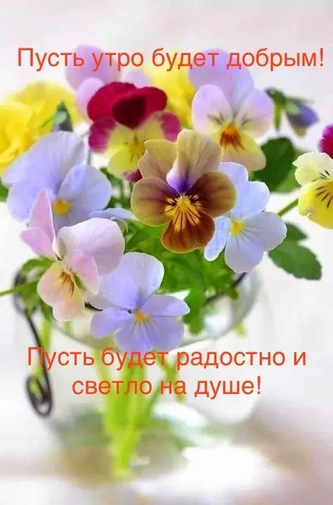 b5858f69a810679005fdfac6ec3f8375.webp