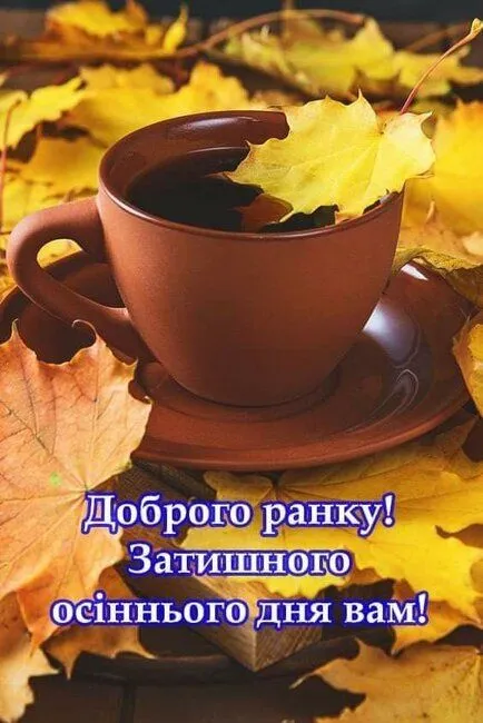 b6b941f2c1ab8acd976c7897743829e5.webp