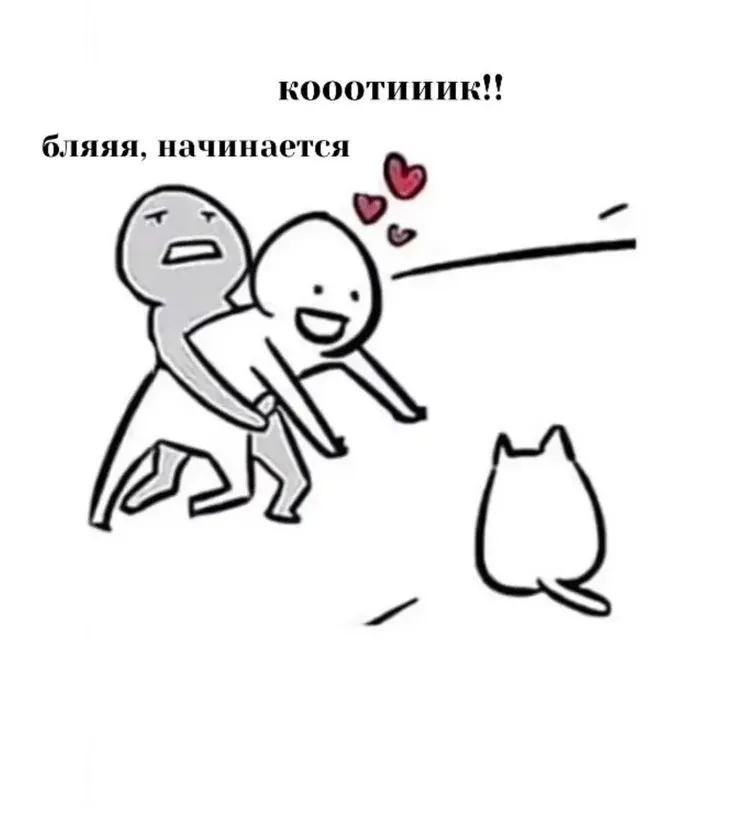 b8ee1e8c162cbef718ee9240d4028f9f.webp
