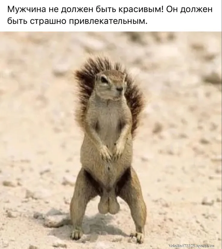 bd3bb9063159fcce8e196f97c2925-world10.spcs.bio.webp