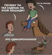 Без названия (1).webp