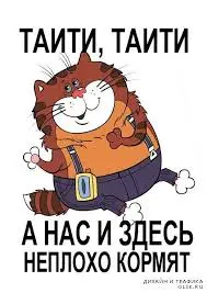 Без названия (1).webp