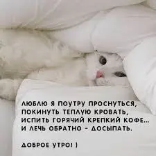 Без названия (2).webp