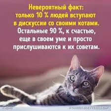 Без названия (24).webp