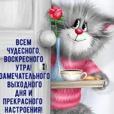 Без названия (7).webp