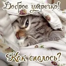 Без названия.webp