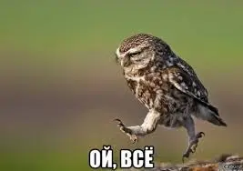 Без названия.webp