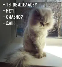 Без названия.jpeg