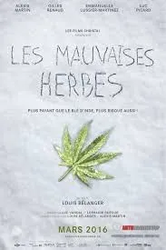 Без названия.jpg