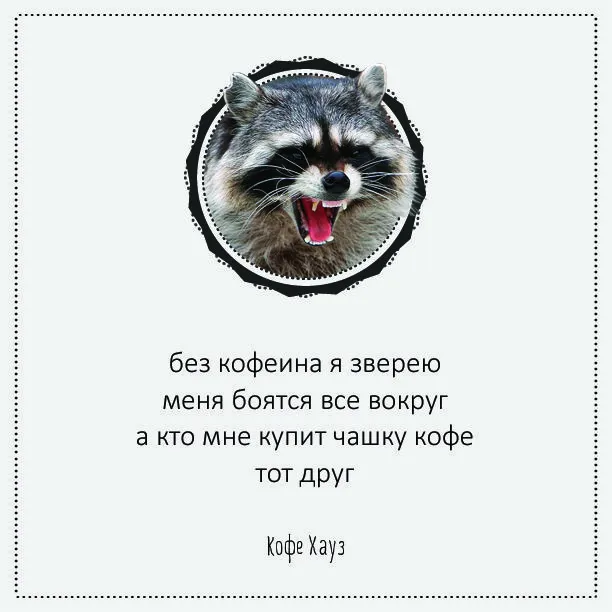 bf81c039798688ef5099f215b41eece2.webp