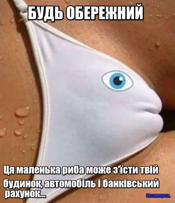 bud-oberezhnyj-ryba.webp