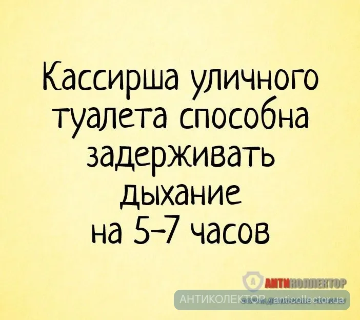 Био туалет.webp