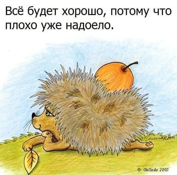 c00a3901a9e239f0a34191762de4f6fa.webp
