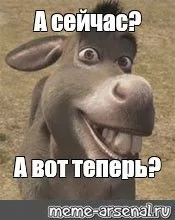 c064707e63a029cf2c054c708245ceb1.webp