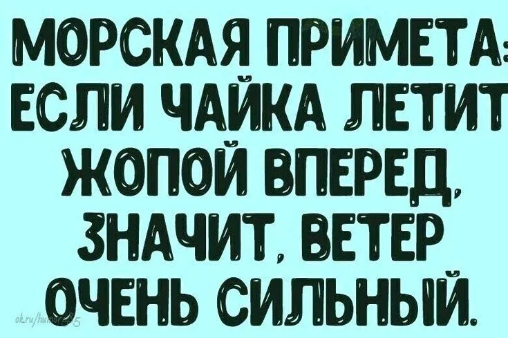 c4c5a64b2d719b1eee5034432fe37e51.webp