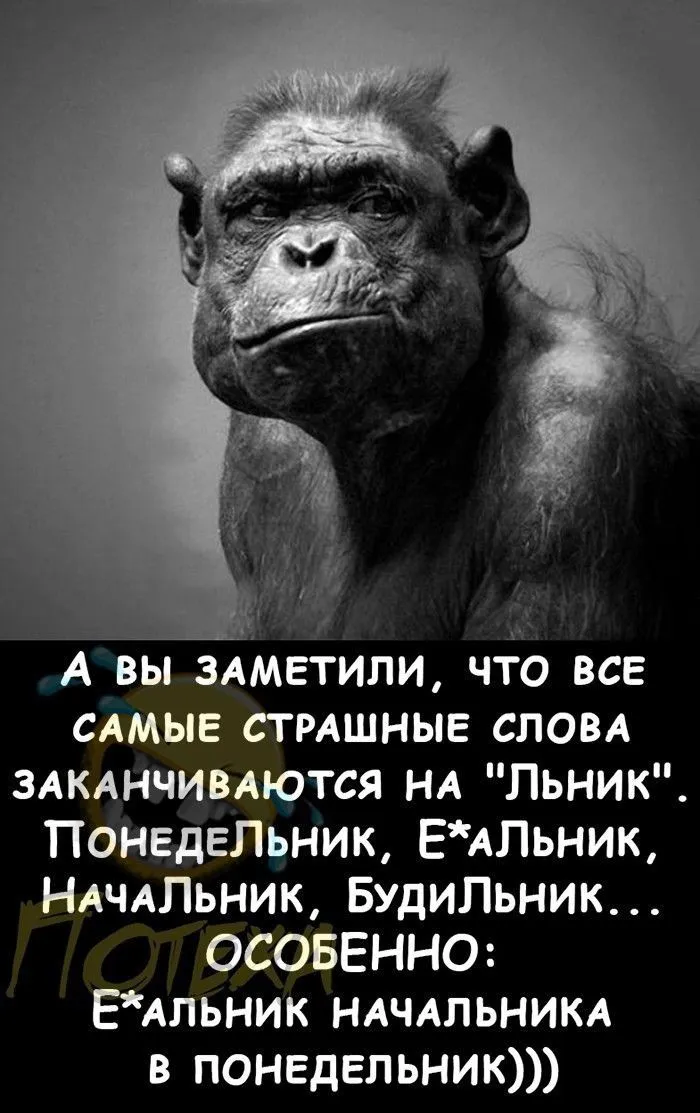 C523e806576f00abb56debc4fa54b6bf-world74.spcs.bio.webp