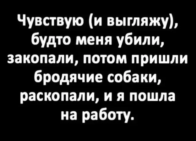 c5a5a9ea78ef18a5add83e14161421a3.webp