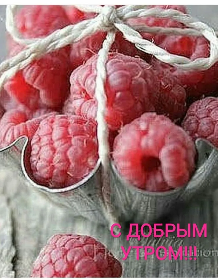 c69eb834782e40b19034d47695679733.webp