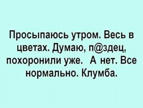C7C7A631-5C64-4C43-8120-77F82A7B37CE.webp