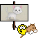 cat1.gif