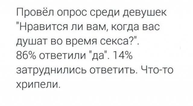 cd7d4d04c006.webp