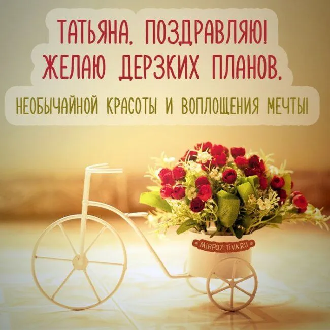 cfae9fb6d7cfbc8526836664246b4a81.webp