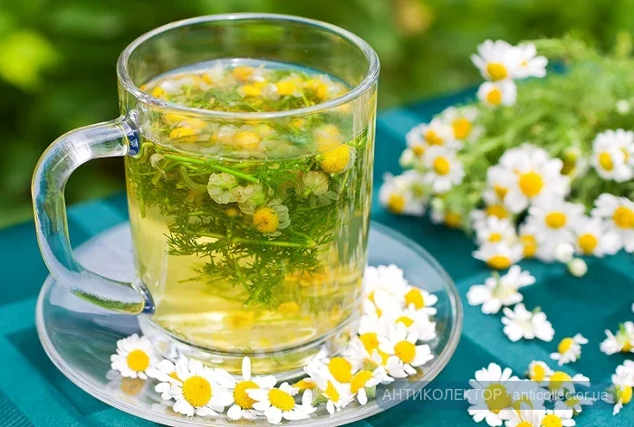 chamomile_benefits_feat.webp