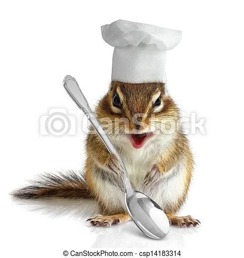 cuisinier-rigolote-écureuil-rayé-image_csp14183314.webp