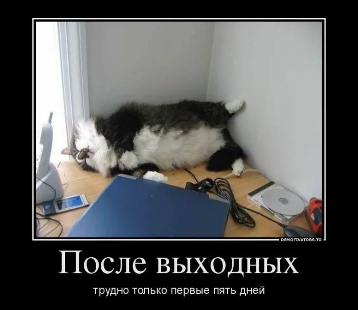 d173fbe9abbc406c2a09c612769315f4.webp