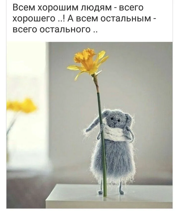 d396fd7a636433a83be4514c6684b73d.webp