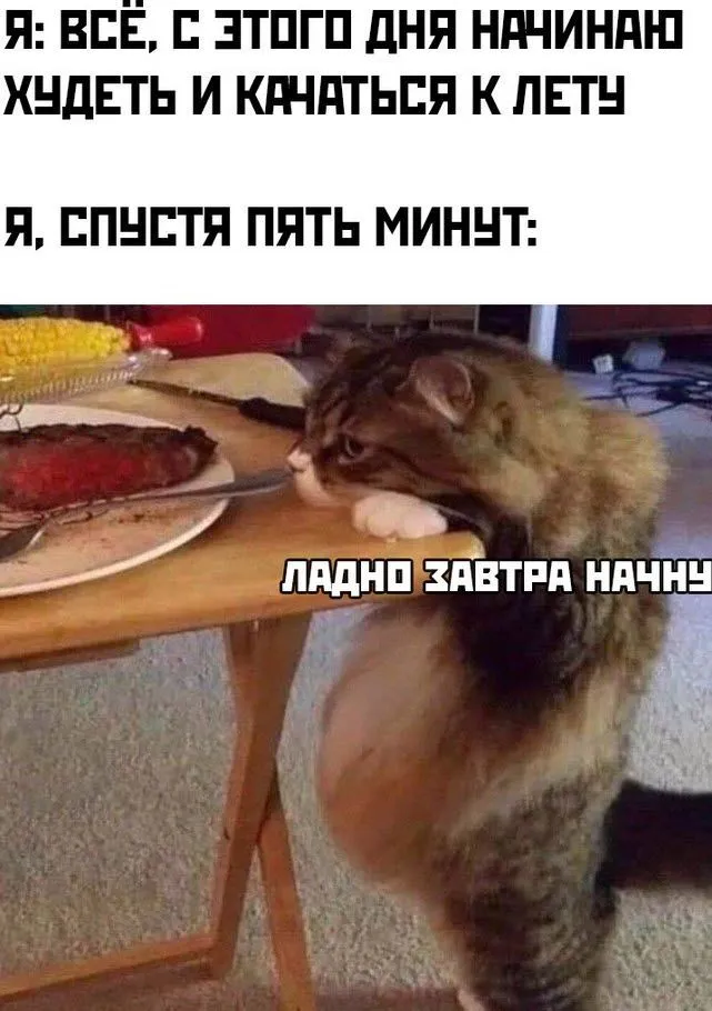 d53da41c4b20e91c57ee8ab7edaf75e7.webp