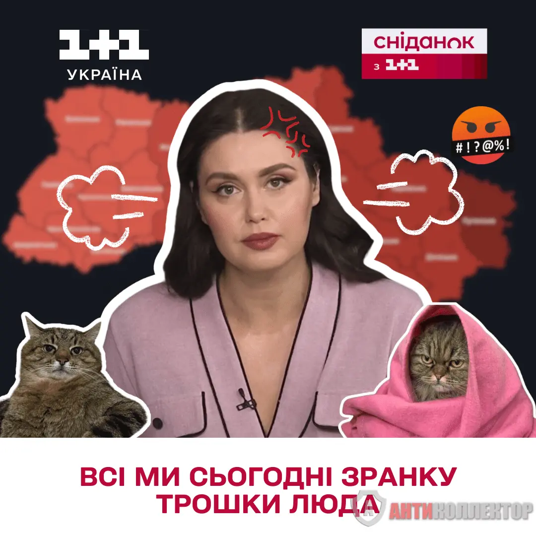 d5a417d43841edb558f5828d312d0734.webp