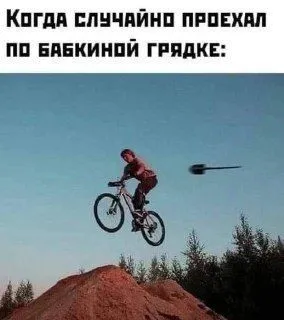 d64041b8ec30bbe294c7462ce77270df.webp