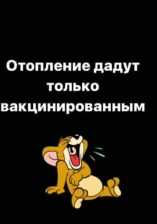 DAF94749-F08C-4290-9FE0-6FFAFCE40C3C.webp