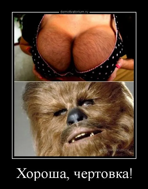 demotivatorium_ru_horosha_chertovka_152331.webp