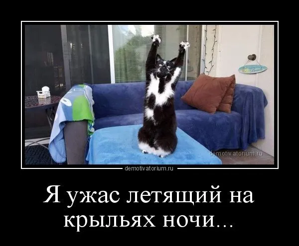 demotivatorium_ru_ja_ujas_letjashij_na_kriljah_nochi_113622-1.webp