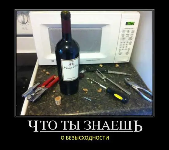 demy-pro-vino-04.webp