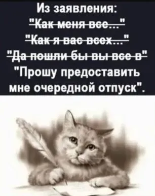 DGThB8bVV-M-world13.spcs.bio.webp